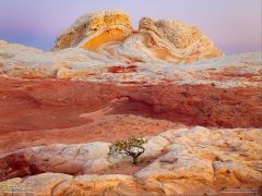 Tapeta National Geographic 477.jpg